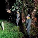 La policía adelanta operativos para dar con los responsables de estos hechos