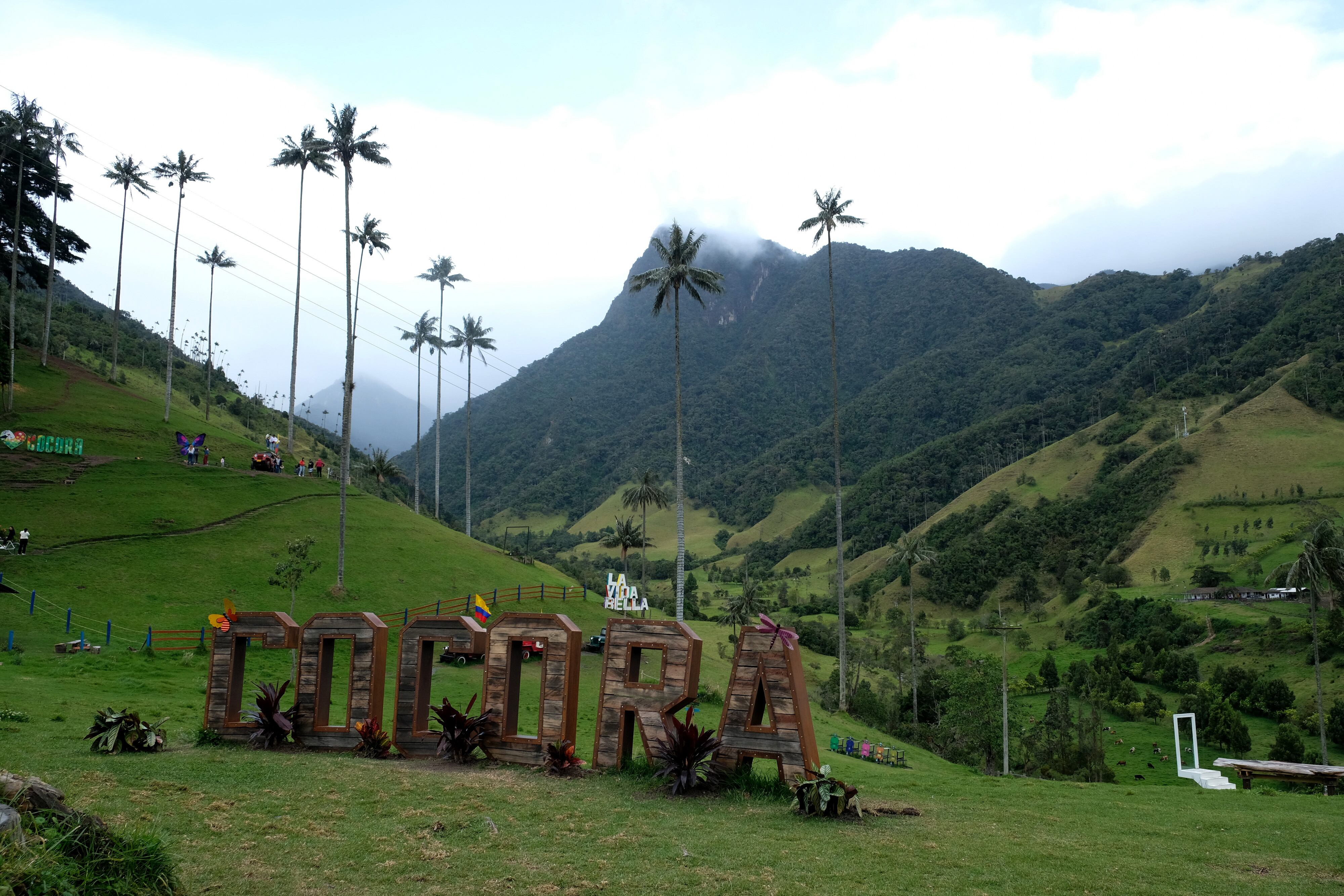 Recomendaciones para visitar el Valle del Cocora, una joya natural del Eje Cafetero