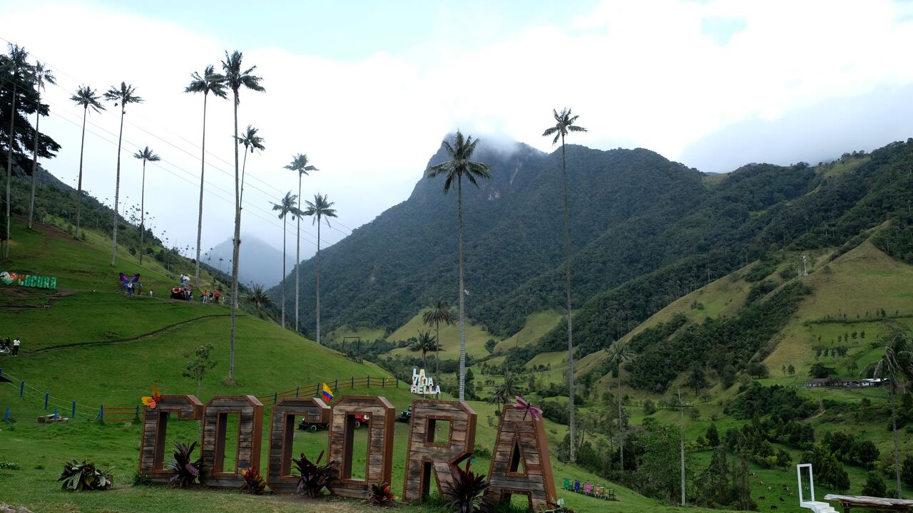 Recomendaciones para visitar el Valle del Cocora, una joya natural del Eje Cafetero