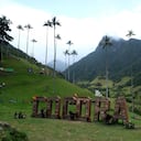 Valle del Cocora en Colombia