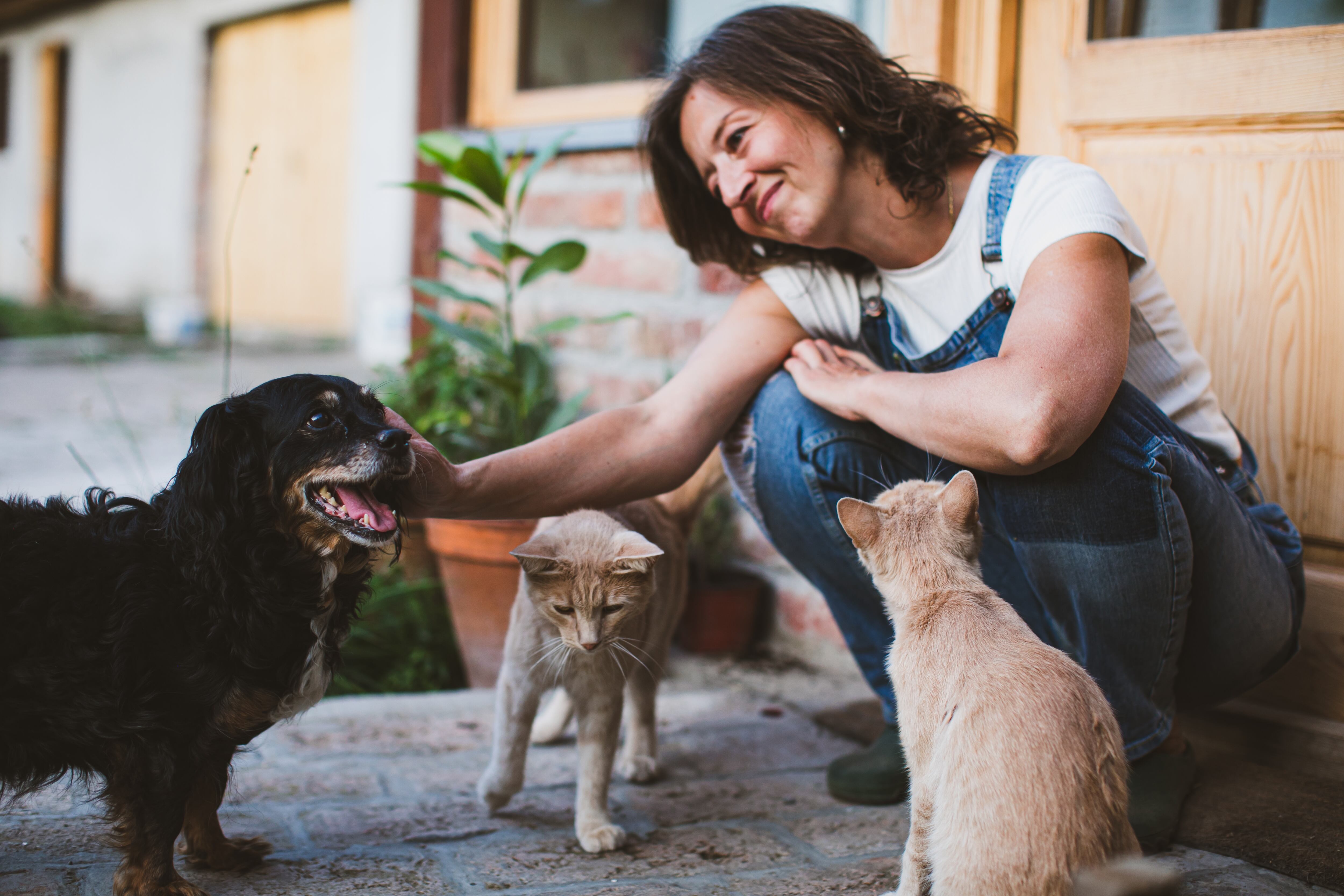 Mujer cuidado a sus mascotas