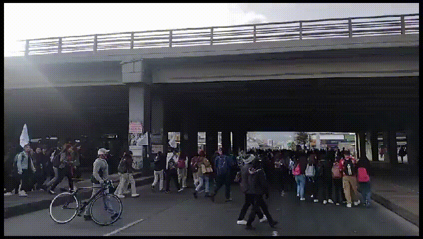 La manifestación avanza por la avenida Caracas.