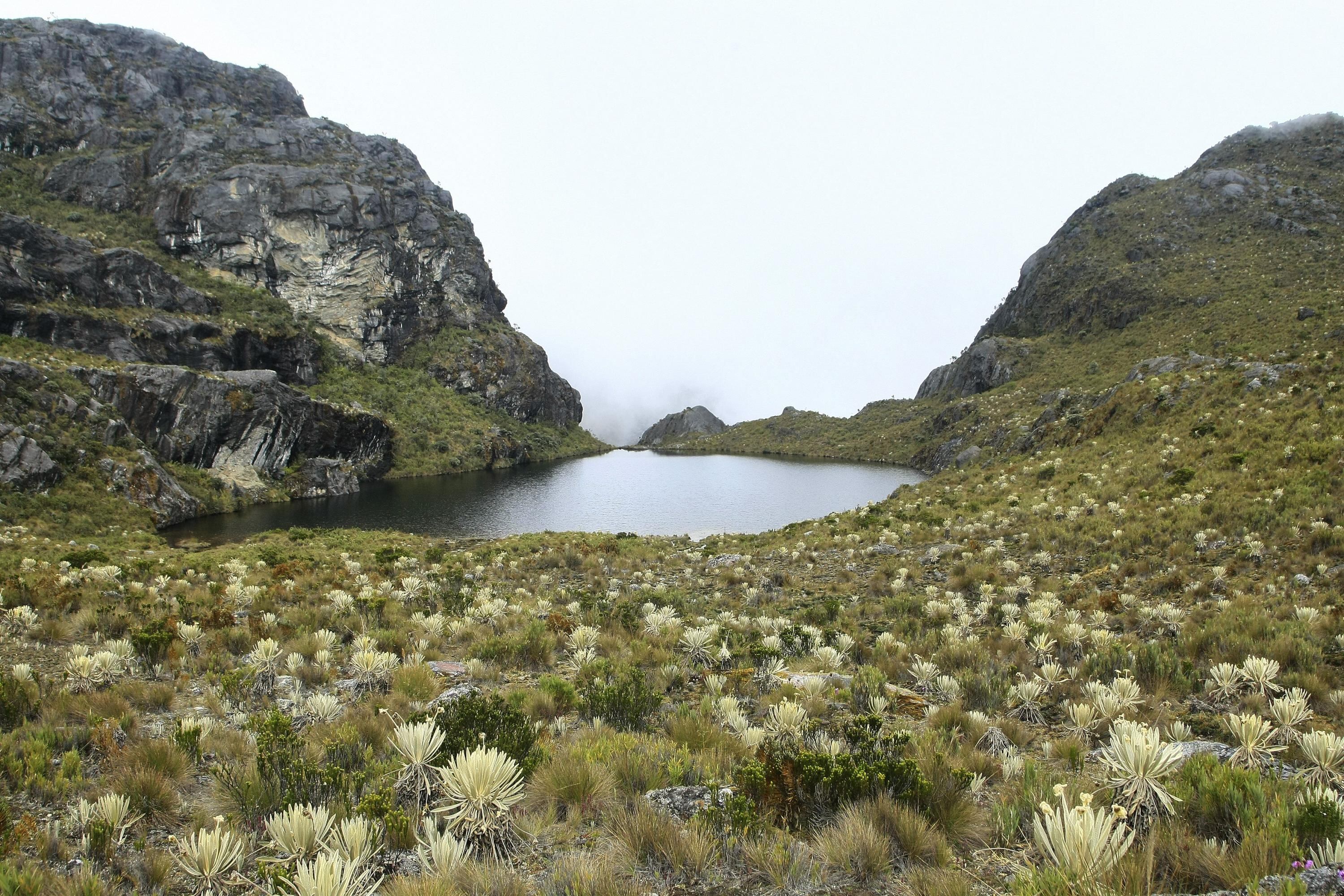 Páramo de Santurbán.