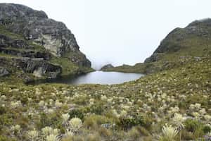 Páramo de Santurbán.