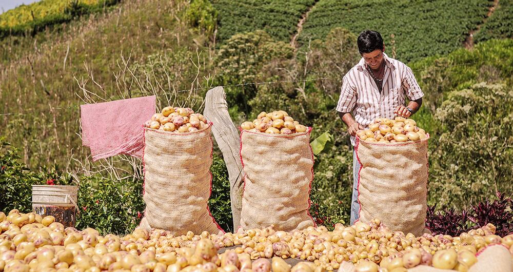 En 2023, 1.623.788 personas salieron de la pobreza. En el campo se concentra más ese flagelo.