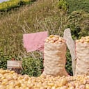 En 2023, 1.623.788 personas salieron de la pobreza. En el campo se concentra más ese flagelo.