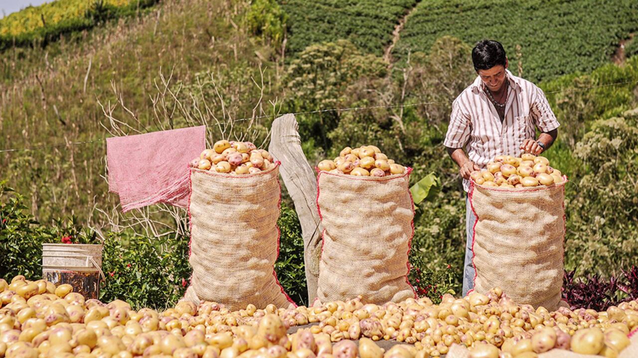 En 2023, 1.623.788 personas salieron de la pobreza. En el campo se concentra más ese flagelo.