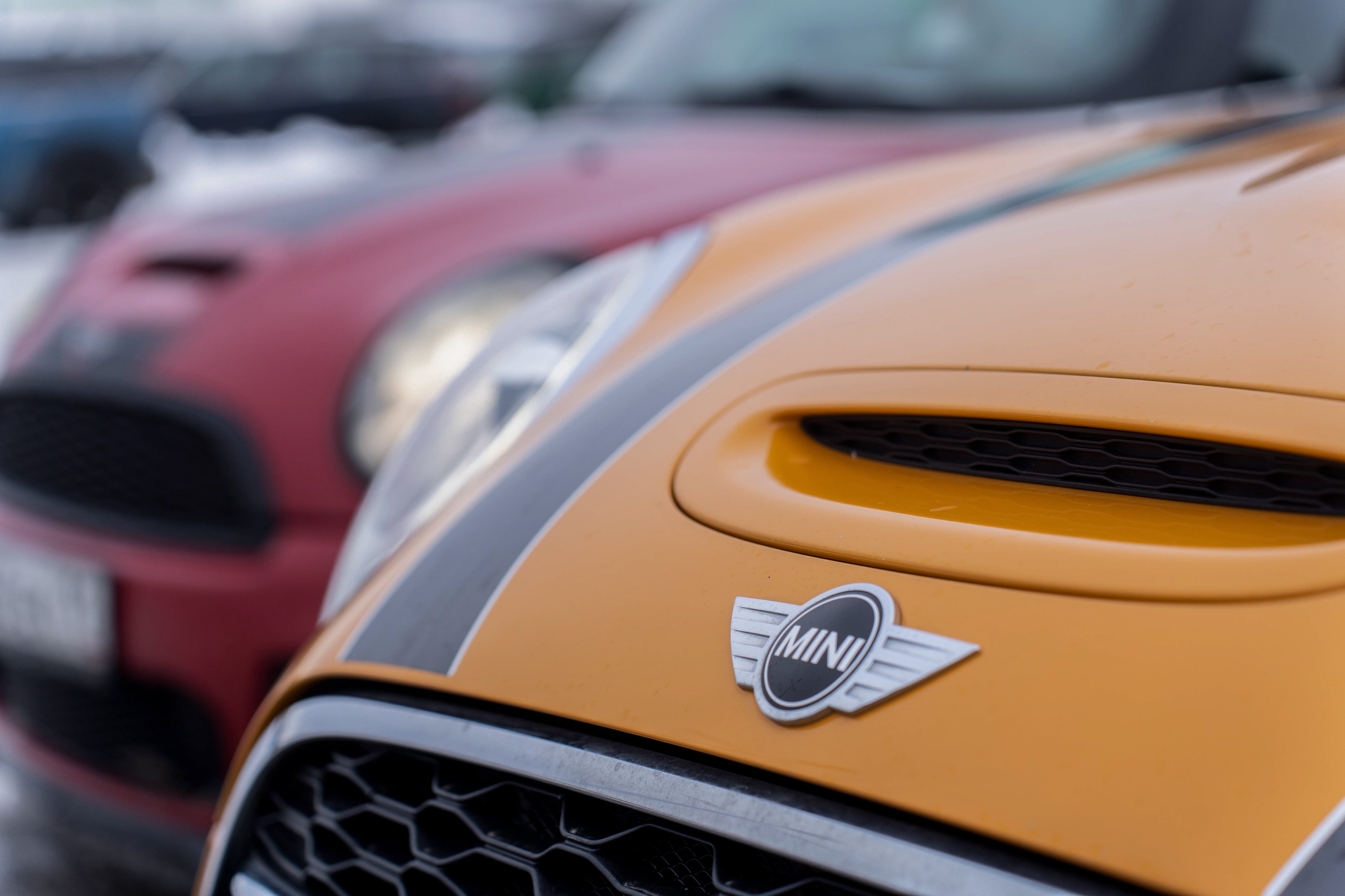 El logo distintivo de la marca Mini.