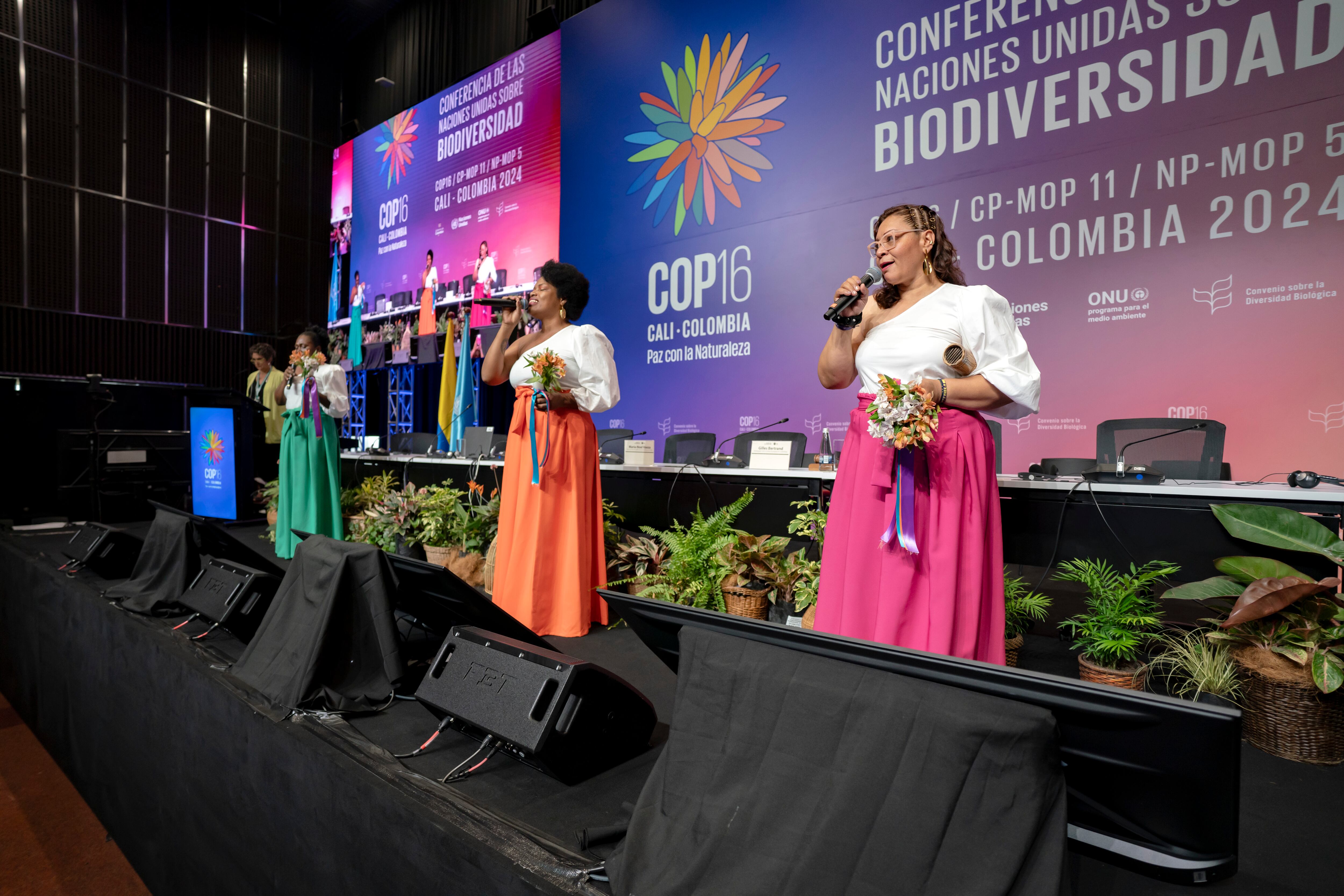 ONU mujeres En la COP16