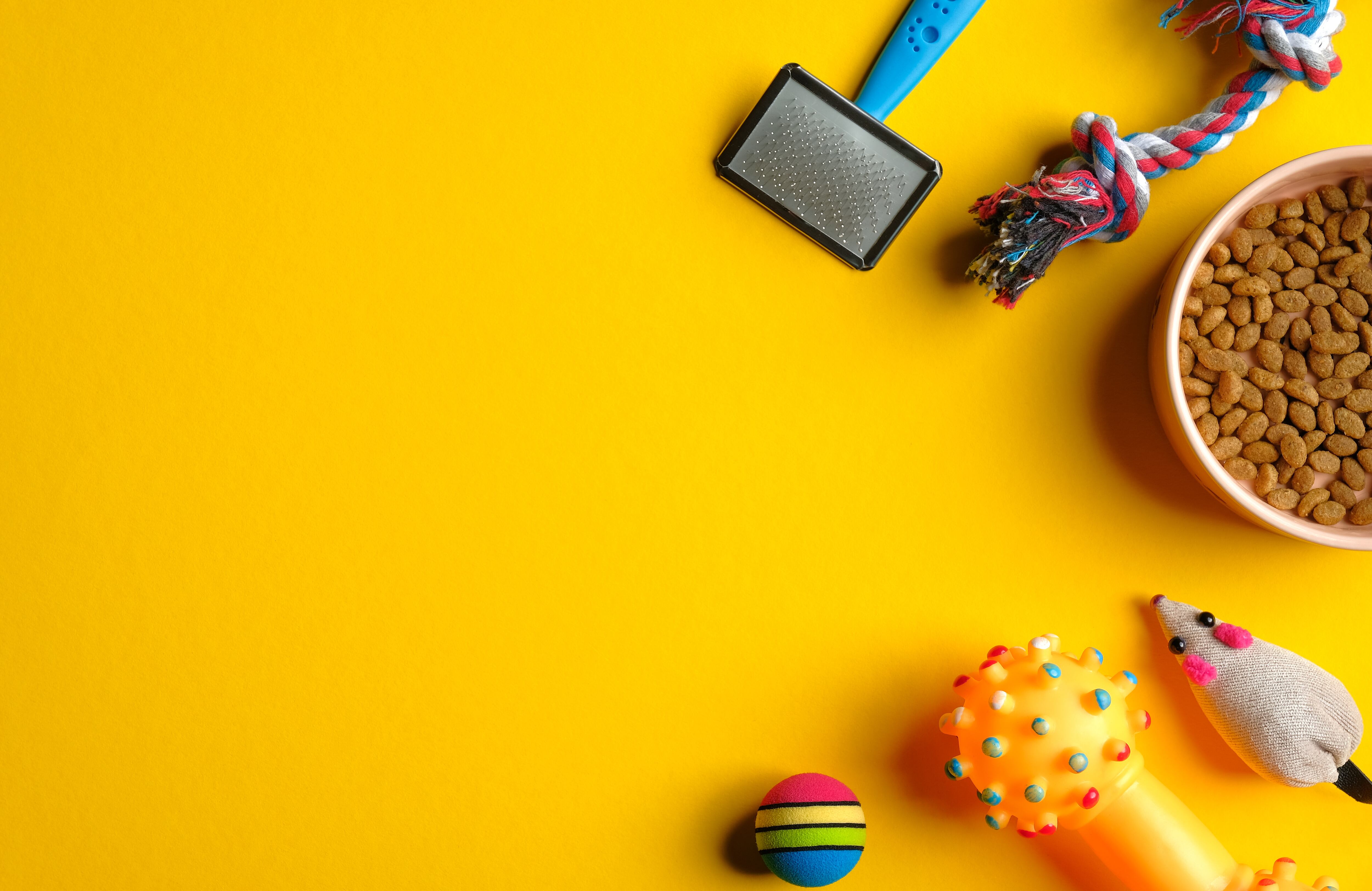 Concepto de cuidado y entrenamiento de mascotas. Composición laicos plana con juguetes para perros y gatos y cuenco con comida seca sobre fondo amarillo.