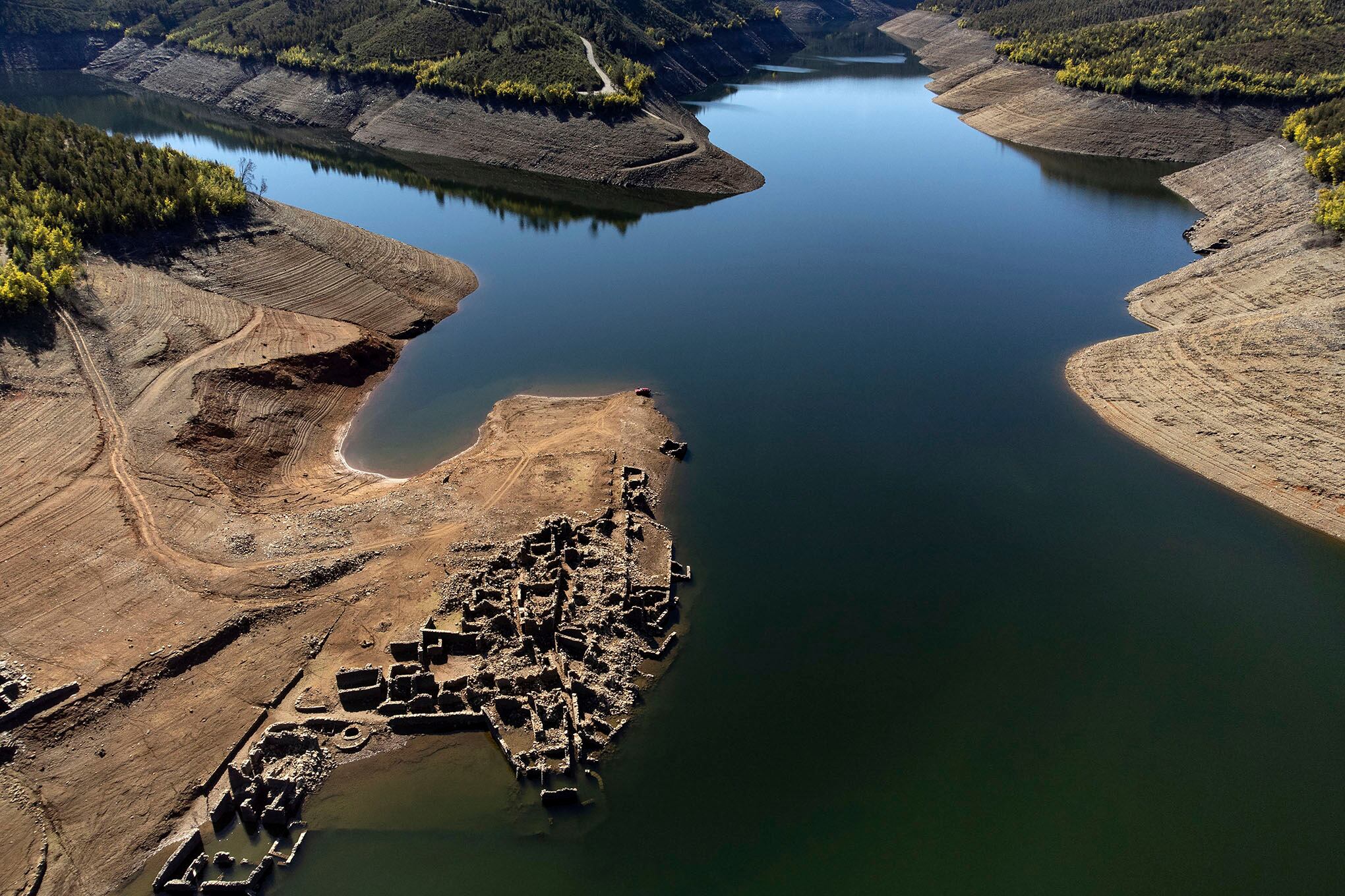 Fotos de la Semana 18 FEB