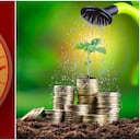 Las plantas pueden atraer la suerte en los signos del Horóscopo Chino.