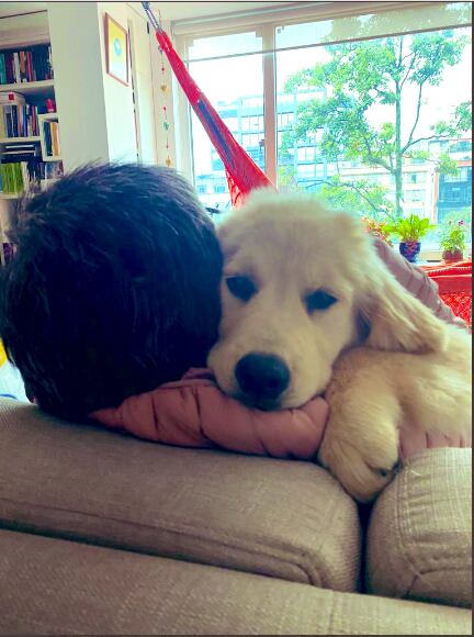 Claudia López presenta su nueva mascota