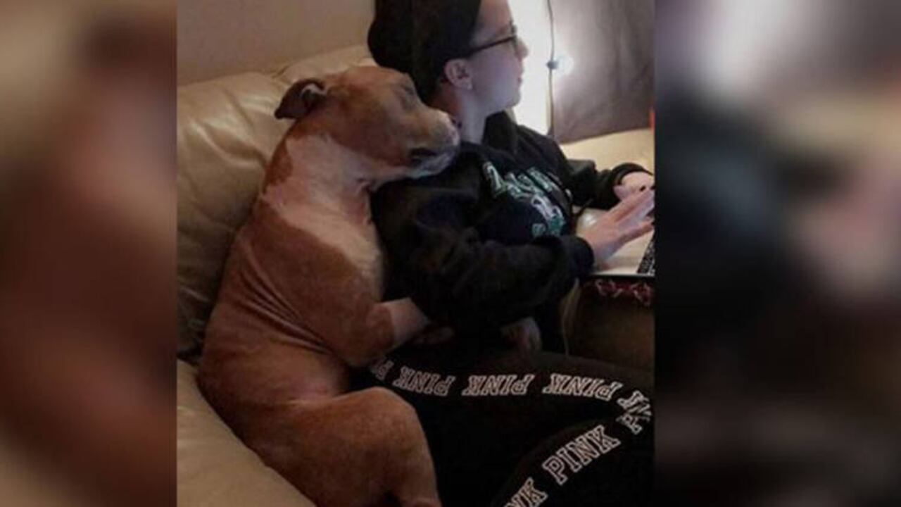 Facebook/ Jamie Holt