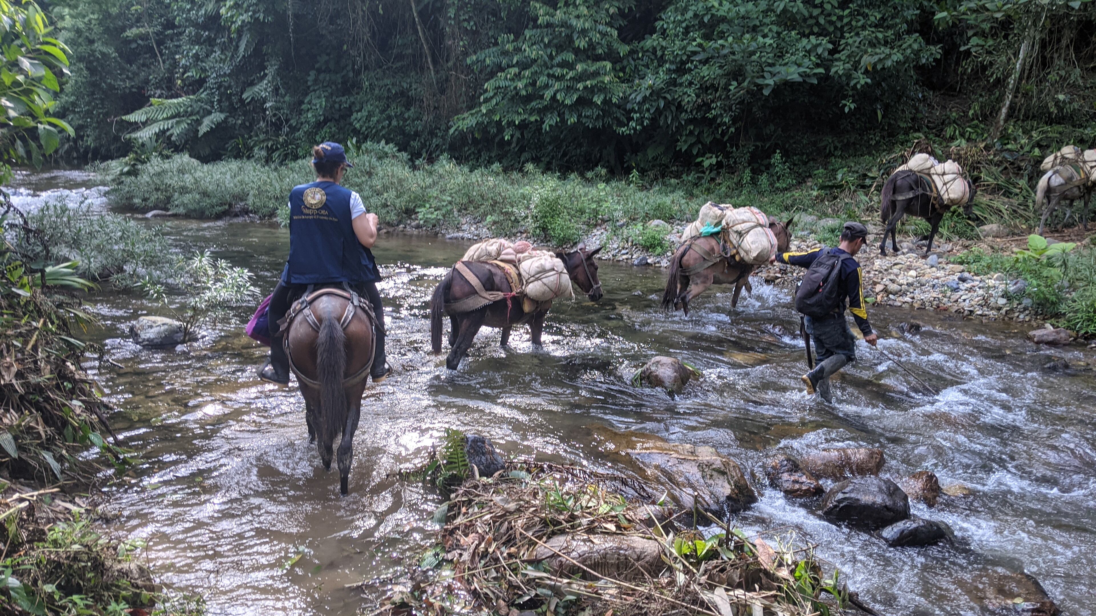 OEA insta a grupos armados a cesar la violencia y a sumarse a la ‘paz total’: “Es tiempo de dejar fuera del conflicto a la población civil”