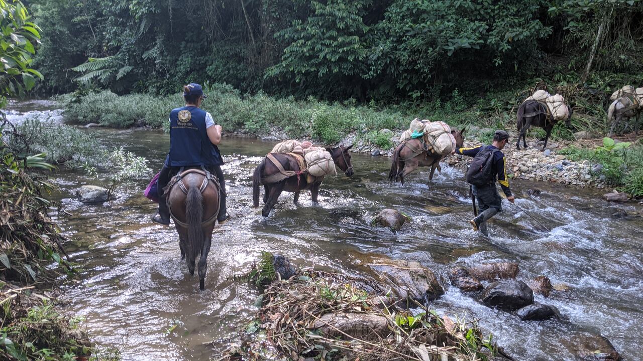 Foto referencial de la reparación de víctimas de la violencia en el departamento del Cesar.