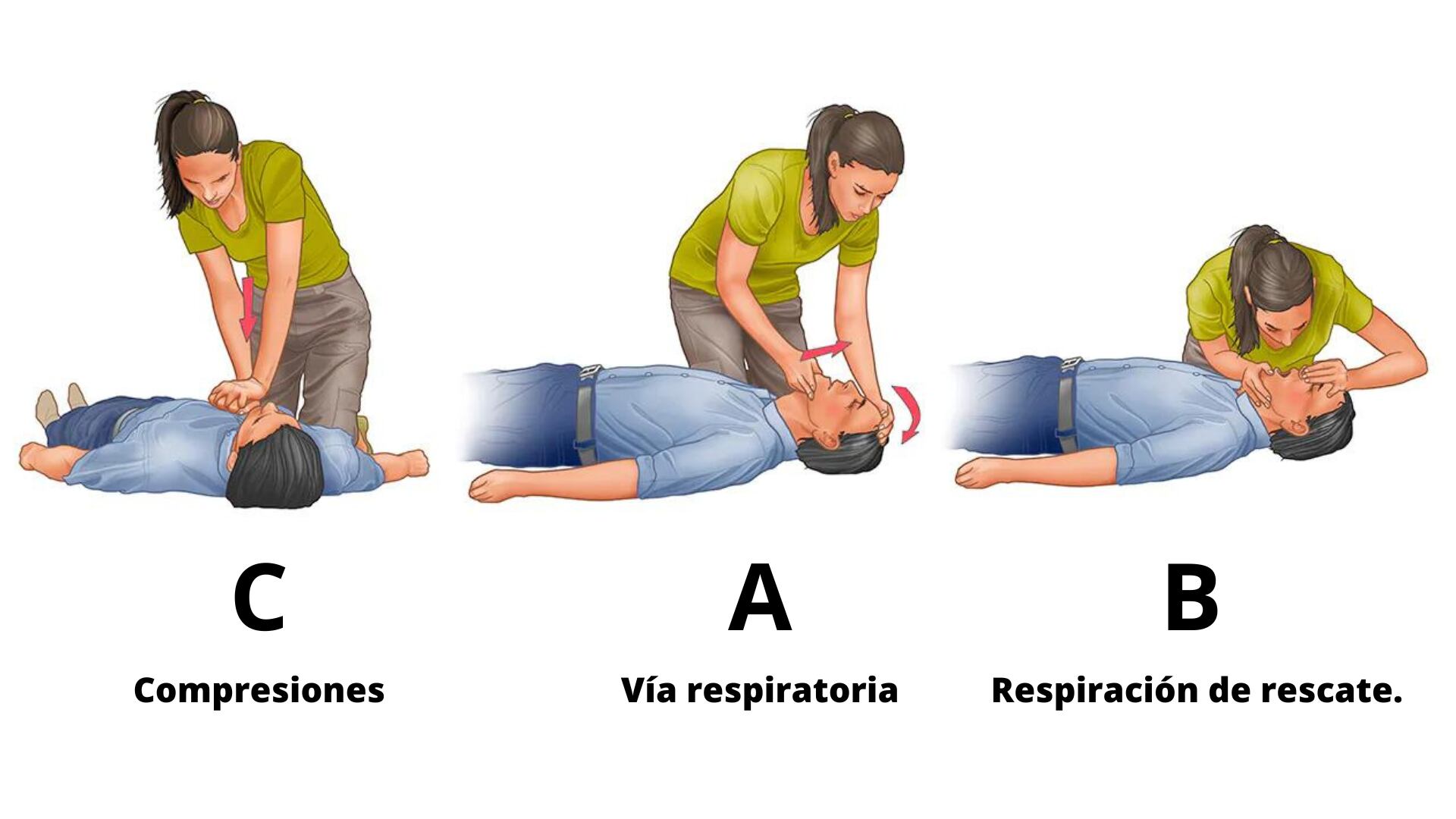 Pasos para hacer RCP, reanimación cardiopulmonar.