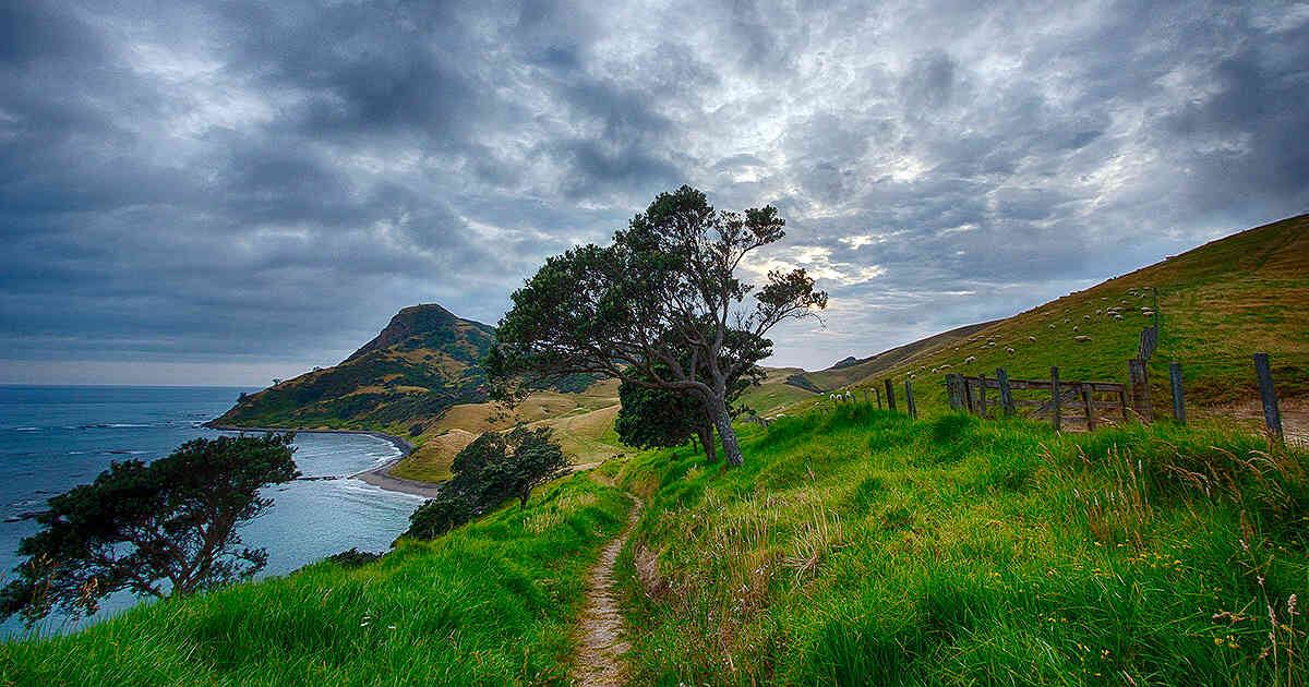 Nueva Zelanda (Foto: Pixabay)