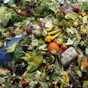 Desperdicio de alimentos en el mundo