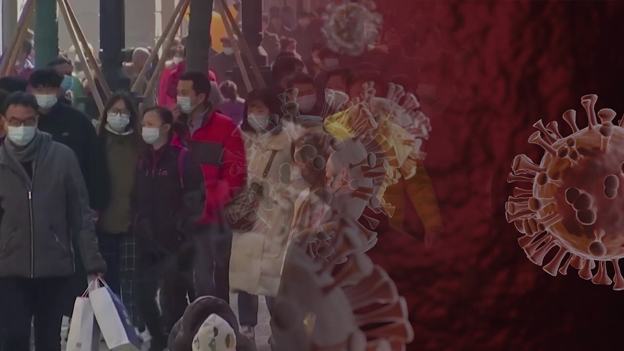 Covid-19: ¿No empezó en China?. La misión de la OMS en Wuhan entregó sus conclusiones