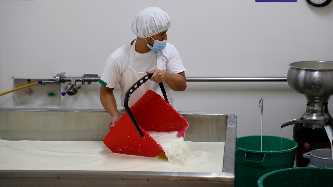 Sector lechero. Foto ilustrativa.