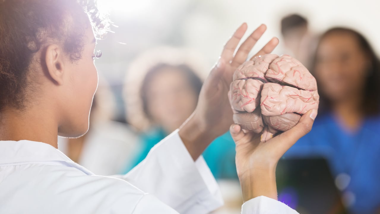 Vista posterior del profesor de la escuela de medicina afroamericana americana que enseña a los estudiantes sobre el cerebro humano.
