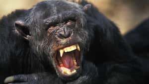 El incidente tuvo lugar en China y quedó registrado en video (imagen de referencia).