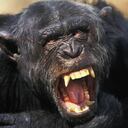 El incidente tuvo lugar en China y quedó registrado en video (imagen de referencia).