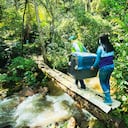 El año pasado, en las jornadas realizadas por el CAV, se liberaron 656 reptiles, 413 mamíferos y 398 aves.