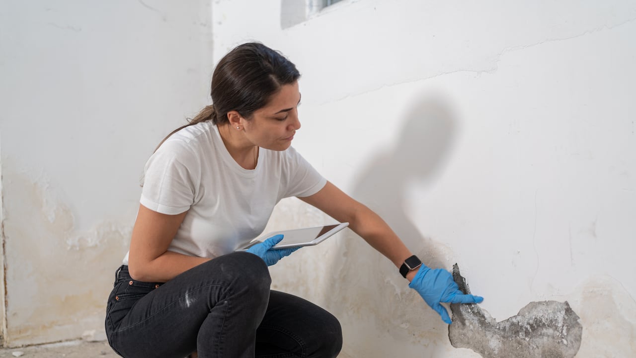 Humedad en las paredes