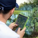 En compañías de tecnología agrícola (Agtech) como Syngenta, entre otras, conviven la investigación y el desarrollo con la genética, la protección de cultivos, soluciones biológicas y las herramientas digitales