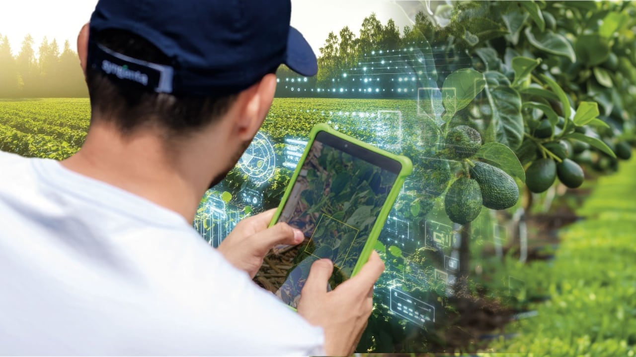 En compañías de tecnología agrícola (Agtech) como Syngenta, entre otras, conviven la investigación y el desarrollo con la genética, la protección de cultivos, soluciones biológicas y las herramientas digitales.