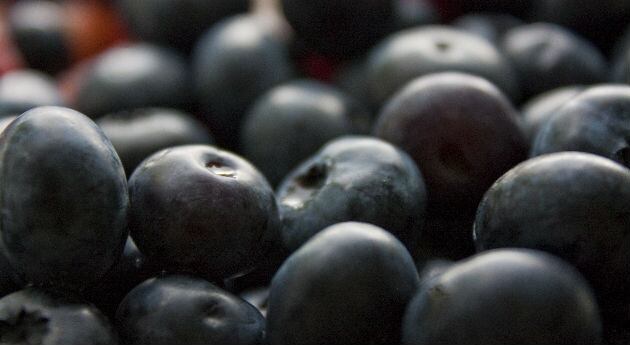 ARÁNDANOS: El poder antioxidante de estas pequeñas frutas es ya bastante conocido. El efecto que tienen en los pulmones podría retrasar los daños causados por enfermedades respiratorias. 