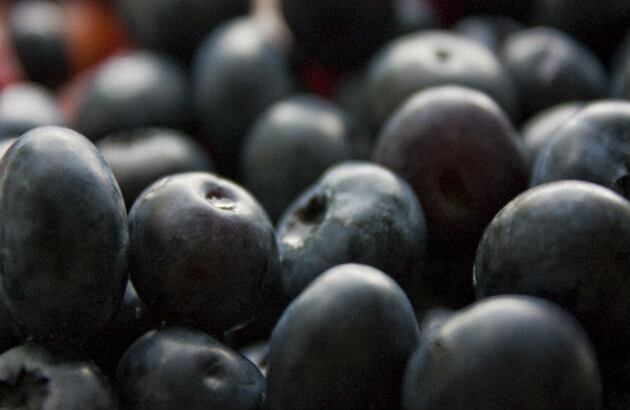 ARÁNDANOS: El poder antioxidante de estas pequeñas frutas es ya bastante conocido. El efecto que tienen en el cerebro podría retrasar los daños causados por enfermedades degenerativas como el Alzheimer y la demencia senil. 