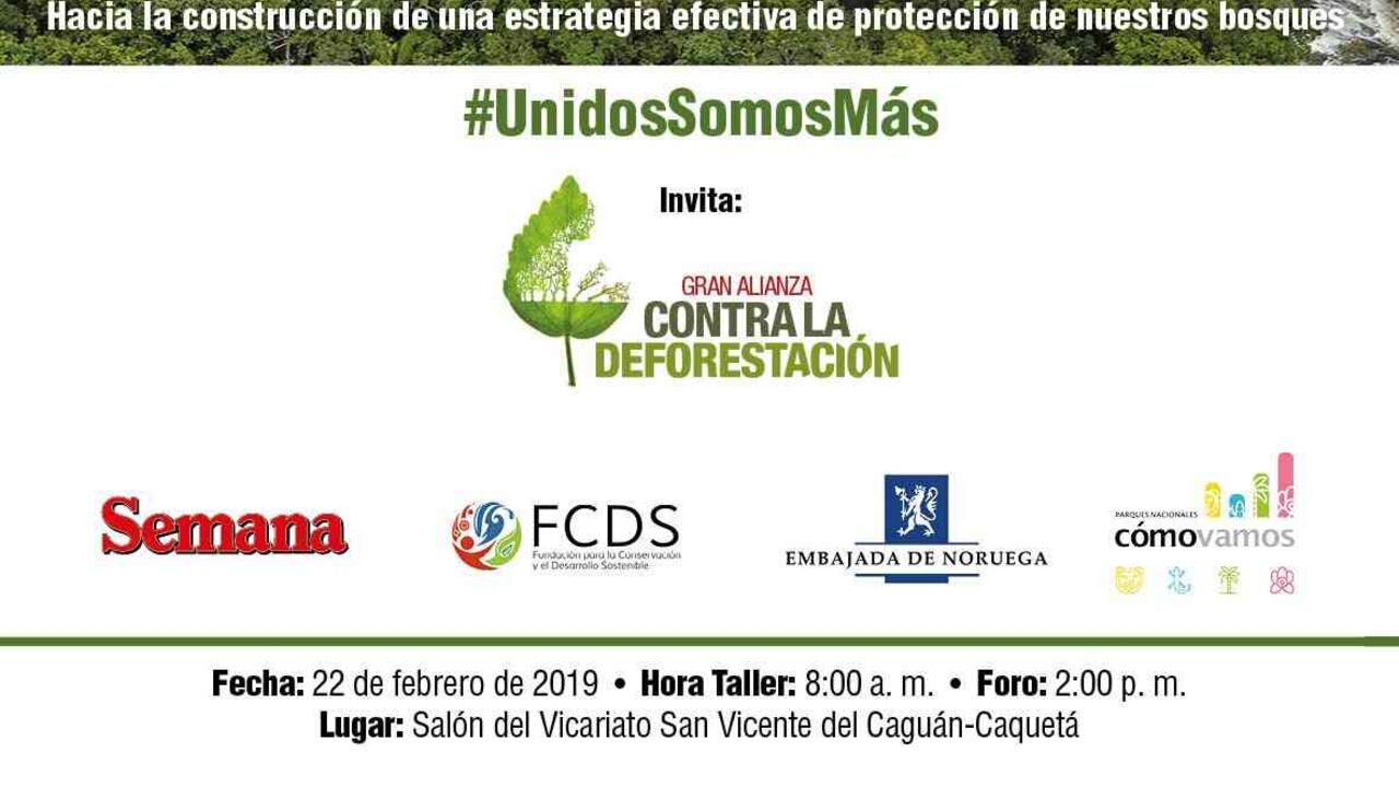 El viernes 22 de febrero, San Vicente del Caguán será sede del segundo foro-taller regional de la Gran Alianza contra la Deforestación, espacio donde la comunidad tendrá voz y voto y podrá plantear cuáles son las acciones que le hacen falta al país para erradicar la deforestación.