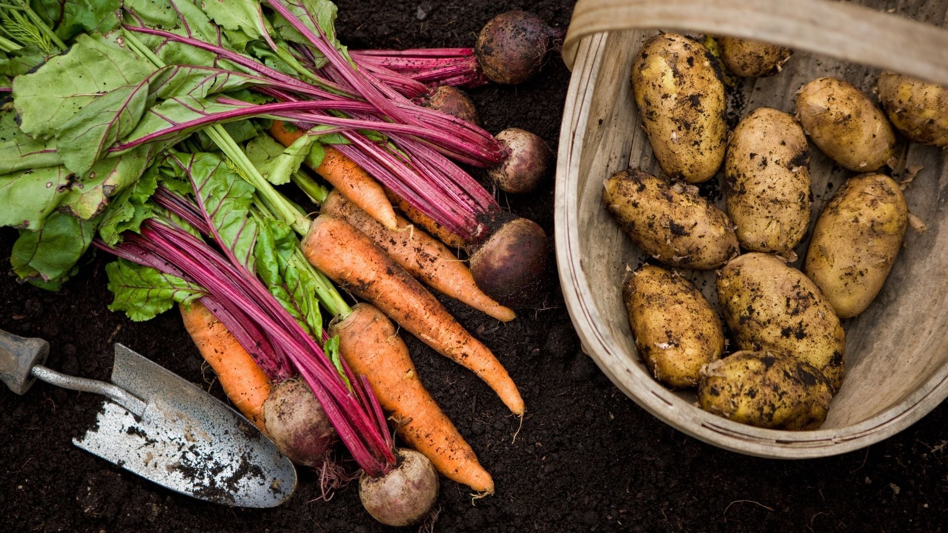 La alimentación sería uno de los mayores desafíos en una crisis global.