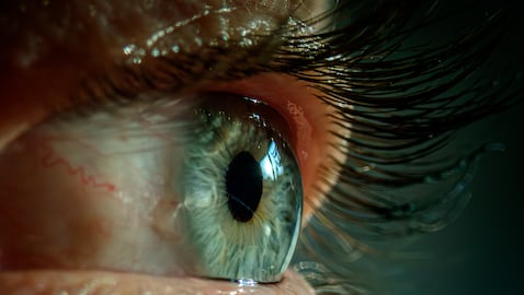 La ciencia redefinió el límite de la visión humana al ubicarlo en una única célula sensible a la luz.