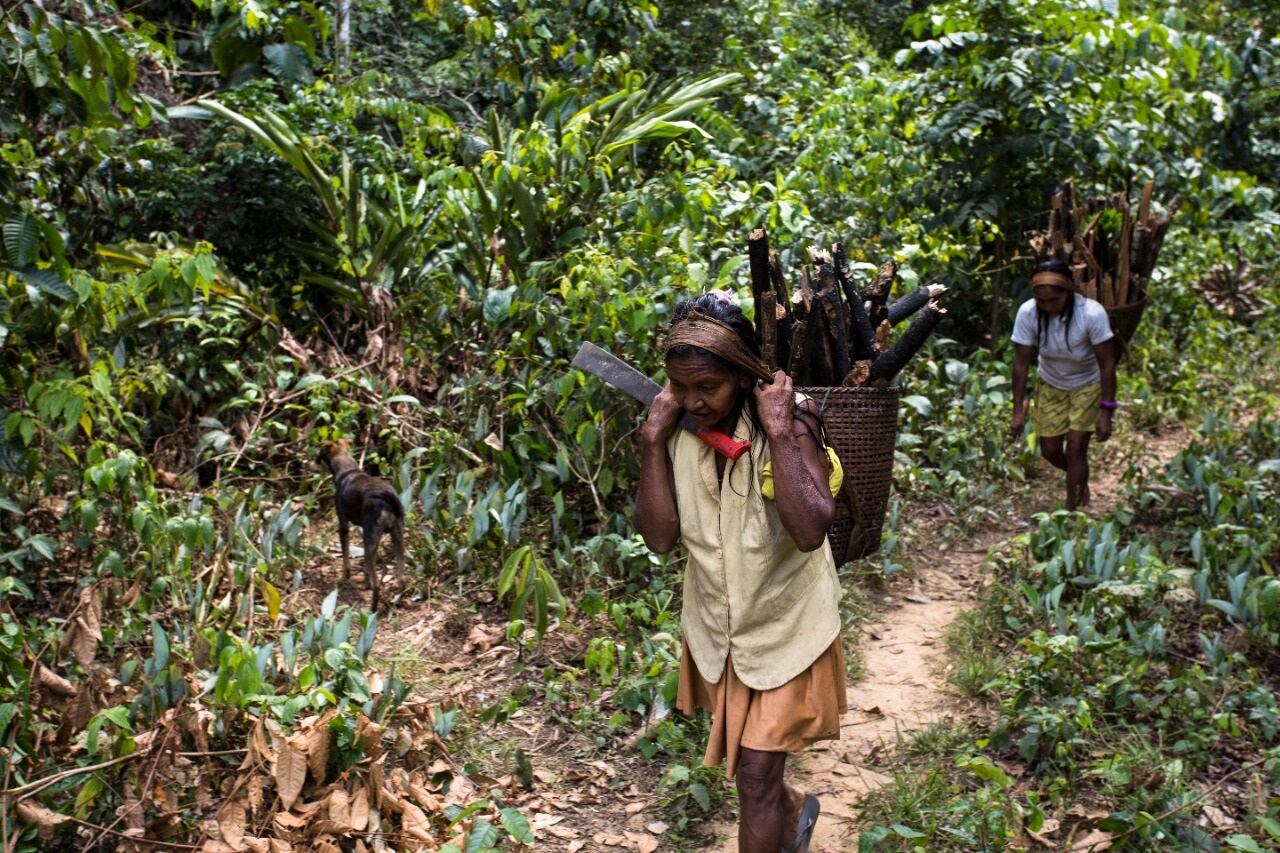 Formas de producción indígena