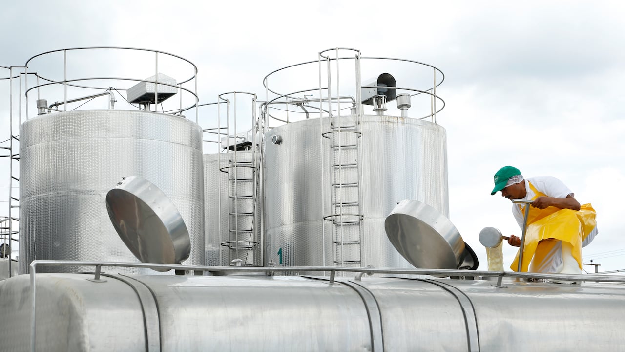 Consumo de lácteos.