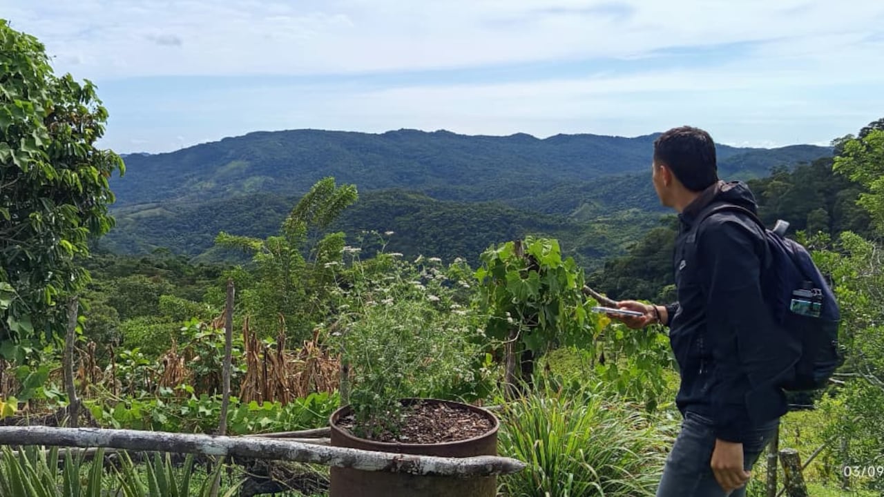 Montañas de San Carlos, Antioquia