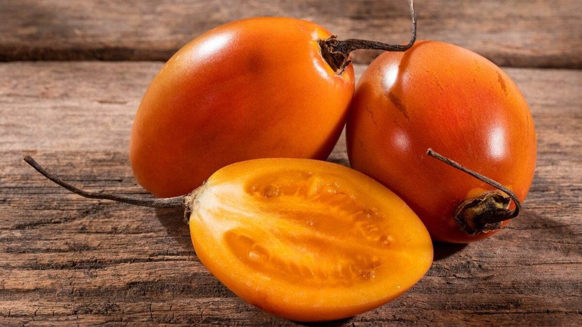 Así se debe comer el tomate de árbol.