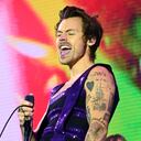 Harry Styles, cantante británico.