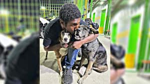 'Choco' considera a sus perros como su familia