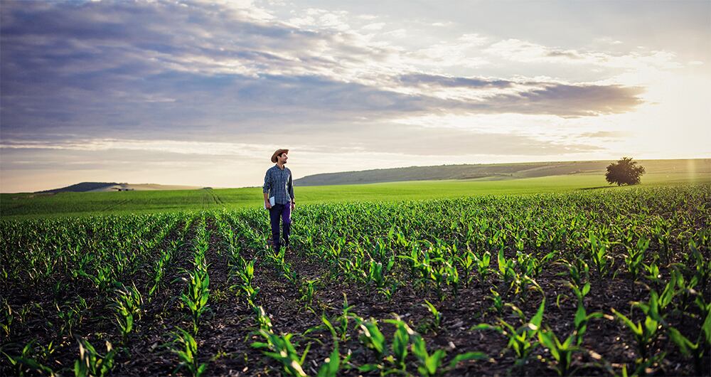 con campo para crecer_1