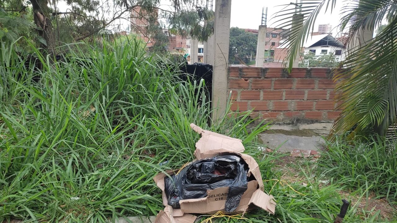 La mujer aún no ha sido identificada.