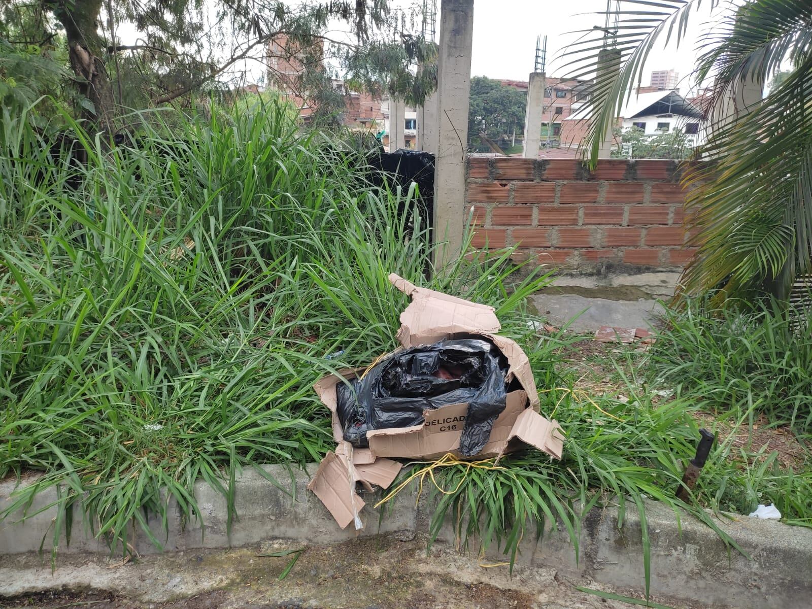 La mujer aún no ha sido identificada.