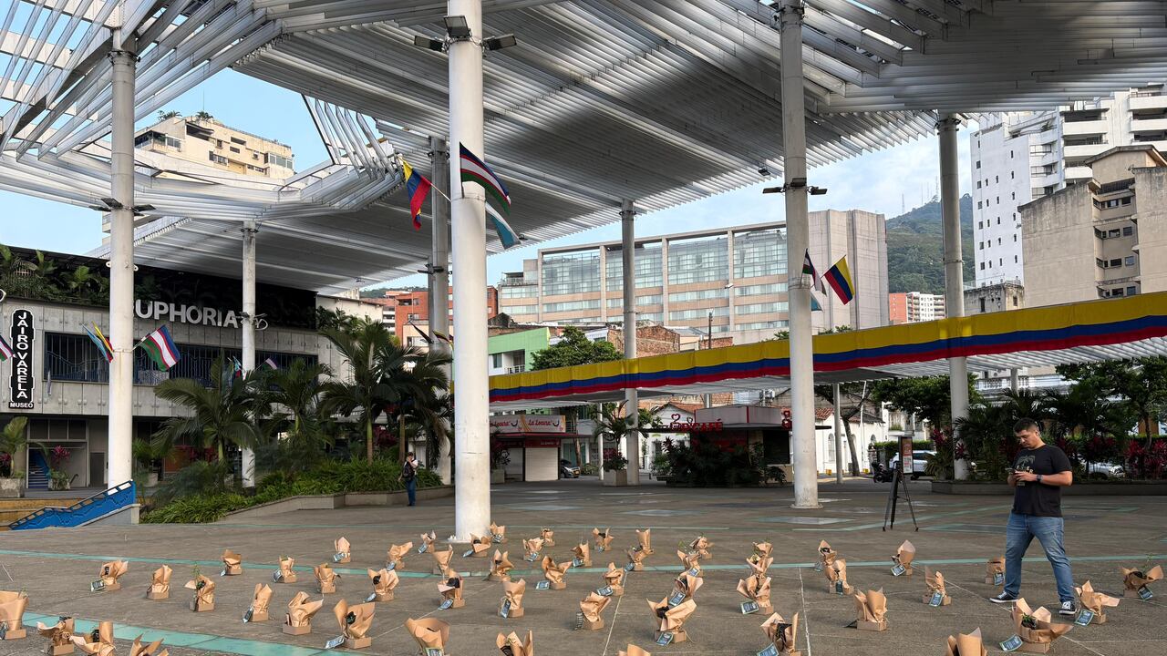 Jornada de donación de mil guayacanes en Cali para rechazar la violencia. El concejal Flower Rojas lideró la iniciativa.