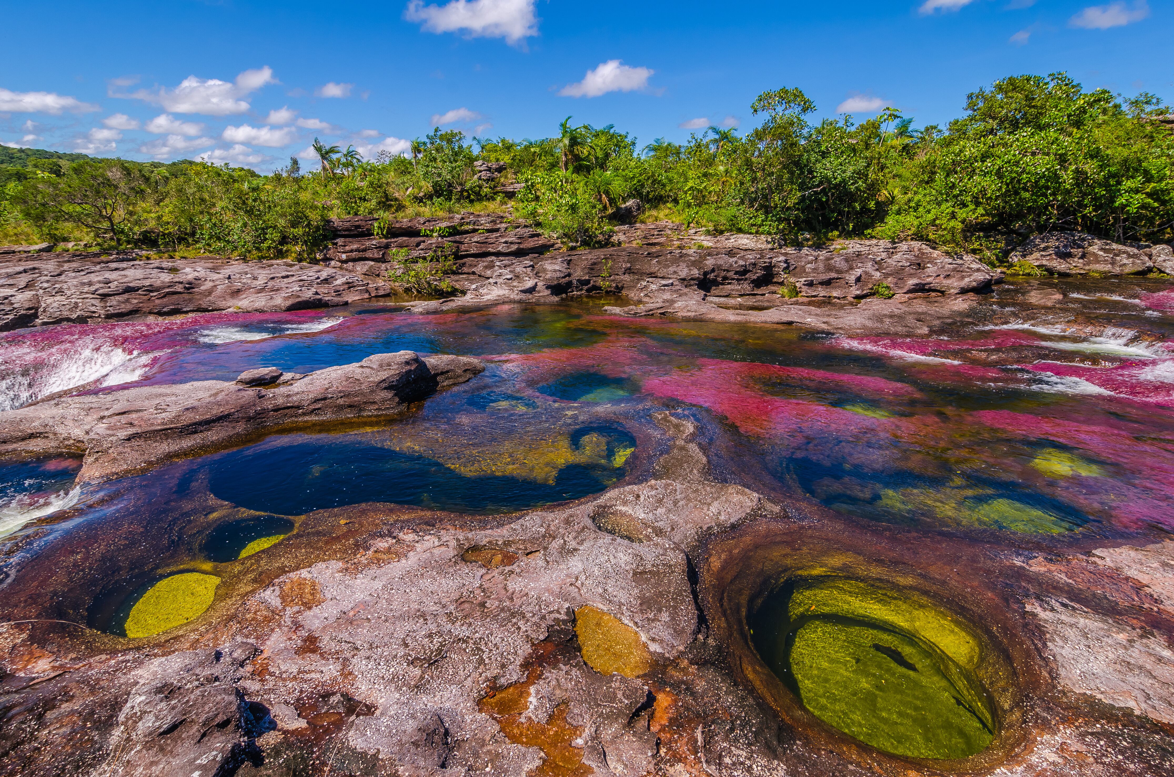 Caño Cristales