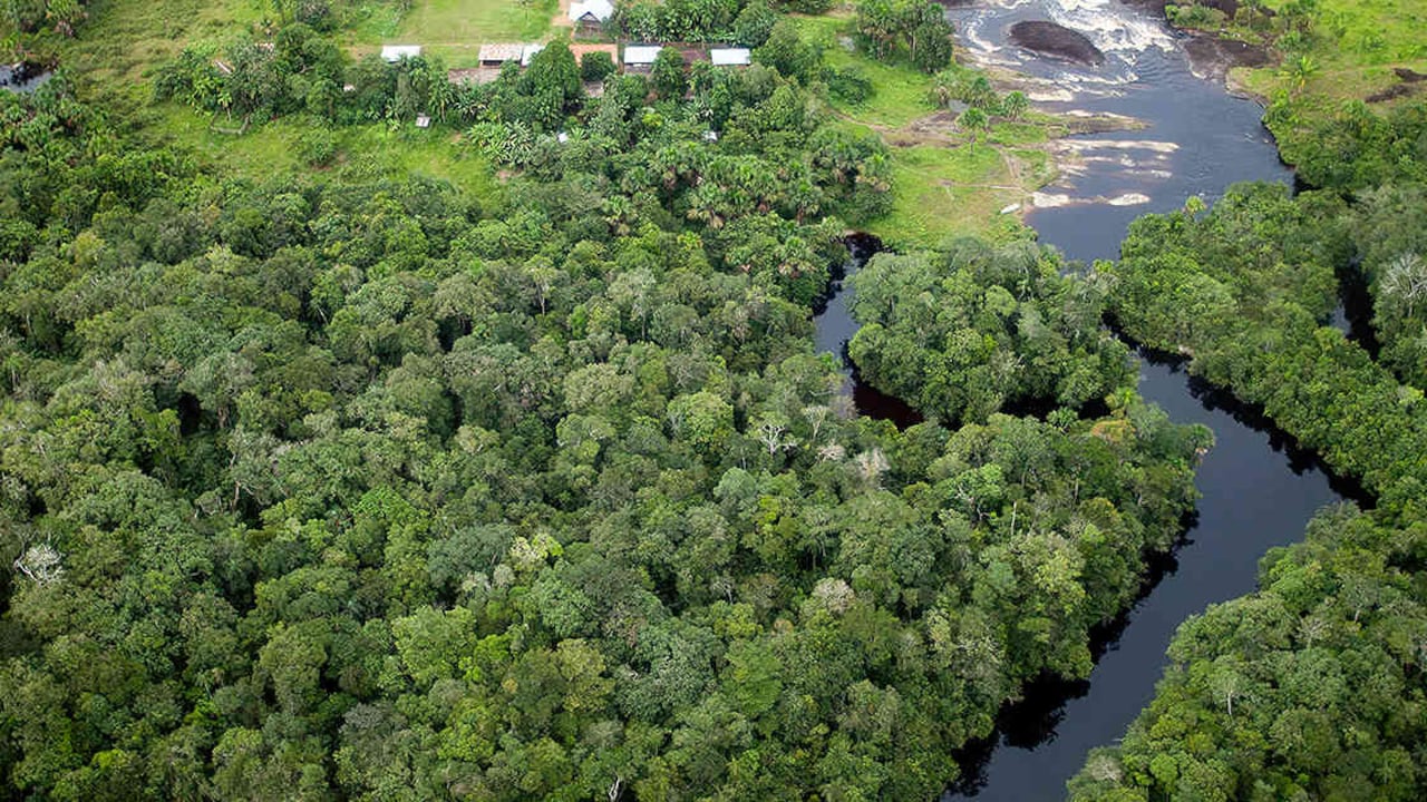 La selva de Vaupés es una de la más espesas de Colombia