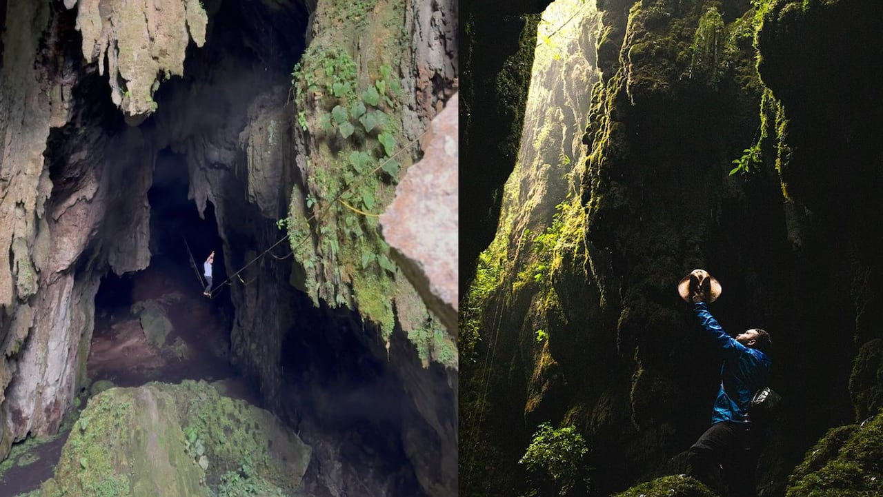 ¿Dónde está ubicado el Bosque de Pandora y qué hacer en este lugar? Promete una aventura épica